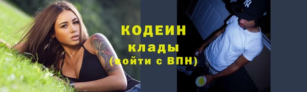 сатива Осташков