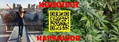 каннабис Новокубанск