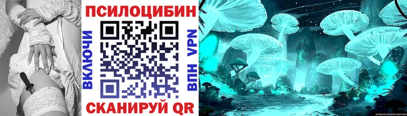 ОМГ ОМГ ССЫЛКА  Тулун  Псилоцибиновые грибы прущие грибы 