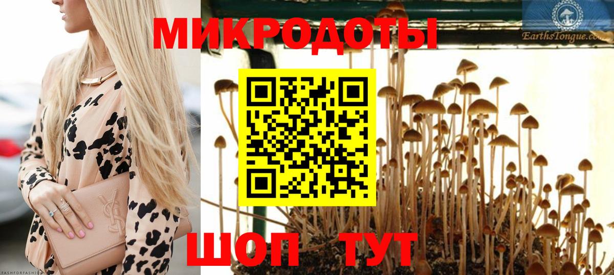 Тулун  Галлюциногенные грибы Magic Shrooms  Вход с VPN 